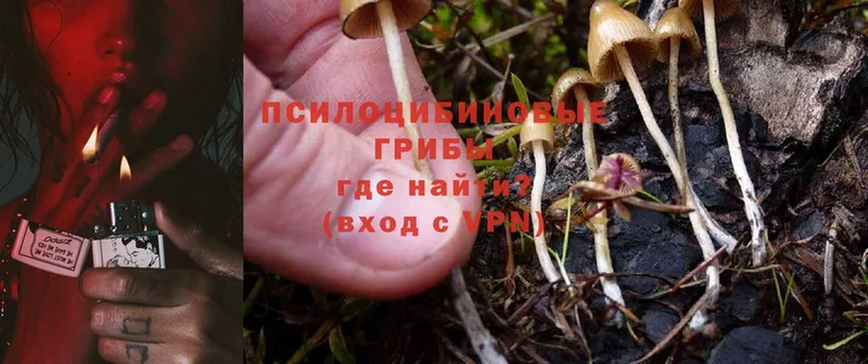 купить закладку  Инсар  сайты даркнета как зайти  Псилоцибиновые грибы MAGIC MUSHROOMS  hydra ONION 